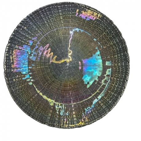 Rent The Chameleon Luster Charger Plate From Different Look